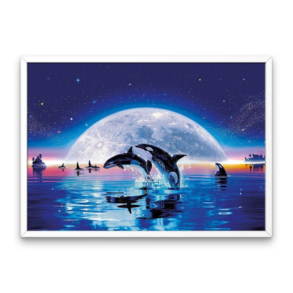 Nattehimmel og delfiner